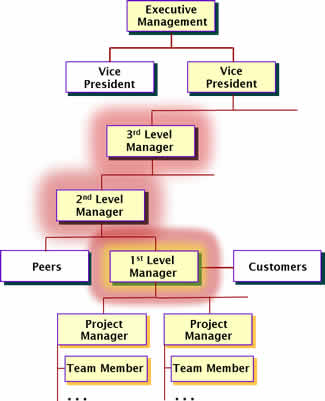 Levels Involved With Leading Project Managers