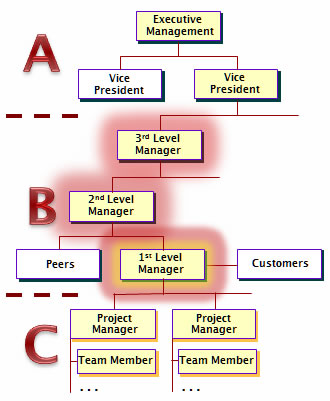 Three levels of Managers need our project management coaching!